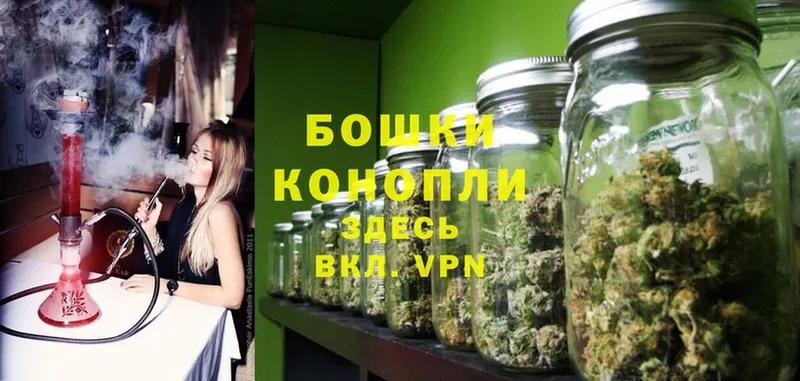 ОМГ ОМГ сайт  Малмыж  Каннабис White Widow  купить наркотик 